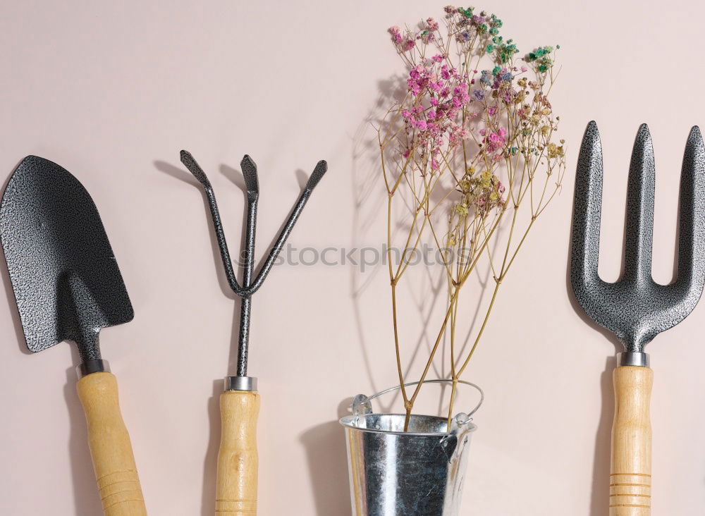 Similar – Image, Stock Photo summer gardener table top view with garden tools
