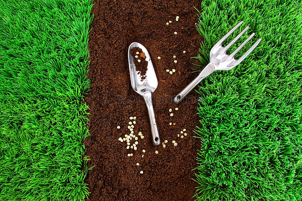 Similar – Image, Stock Photo garden tools on green lawn background.