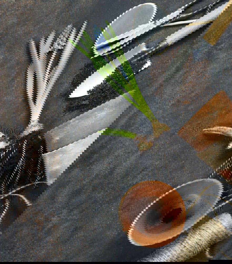 Similar – Image, Stock Photo summer gardener table top view with garden tools