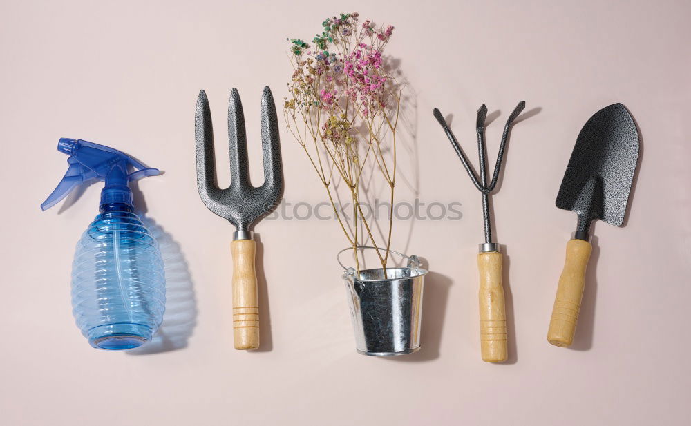 Similar – Image, Stock Photo filthy day Street