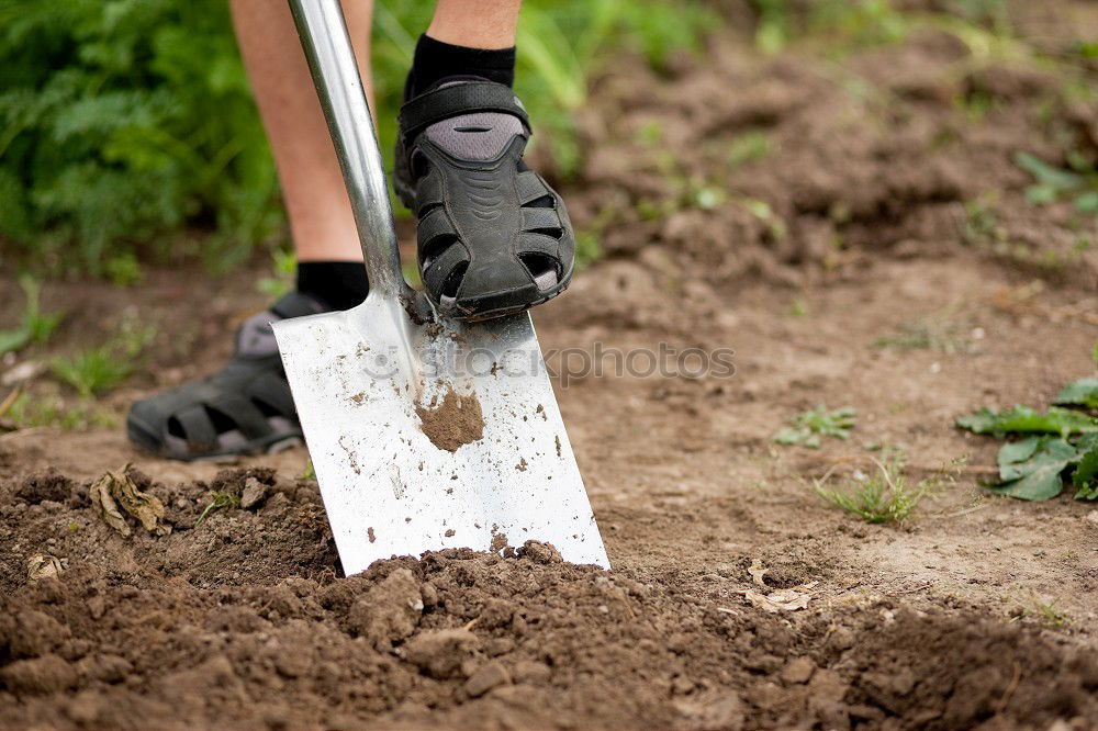 Similar – Image, Stock Photo flatten Garden Profession