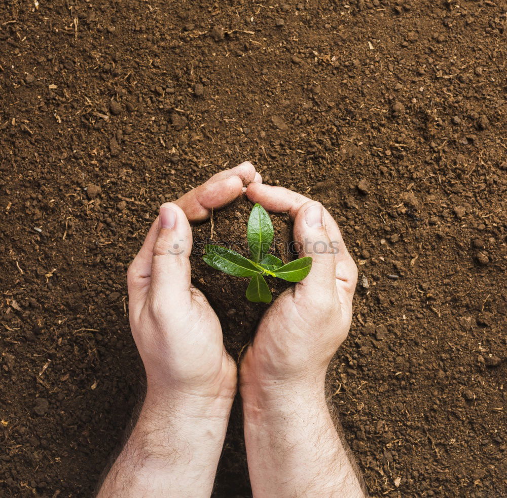 Similar – Image, Stock Photo clam digger