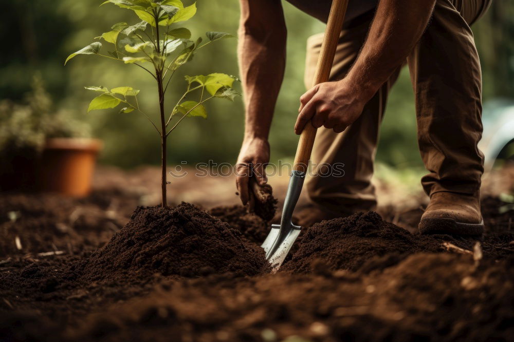 Similar – Planting potatoes