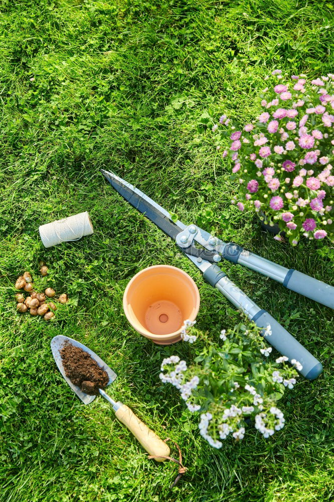 Similar – Image, Stock Photo garden tools on green lawn background.