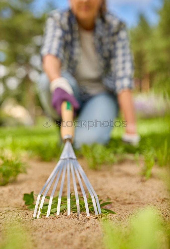 Similar – Image, Stock Photo Boy with heap of garbage in hands near basket