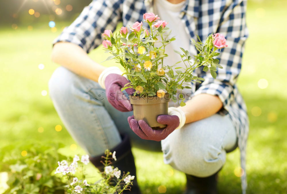 Similar – bouquet Bouquet