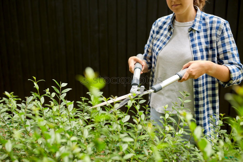 Similar – Kitchen herbs, balcony, person