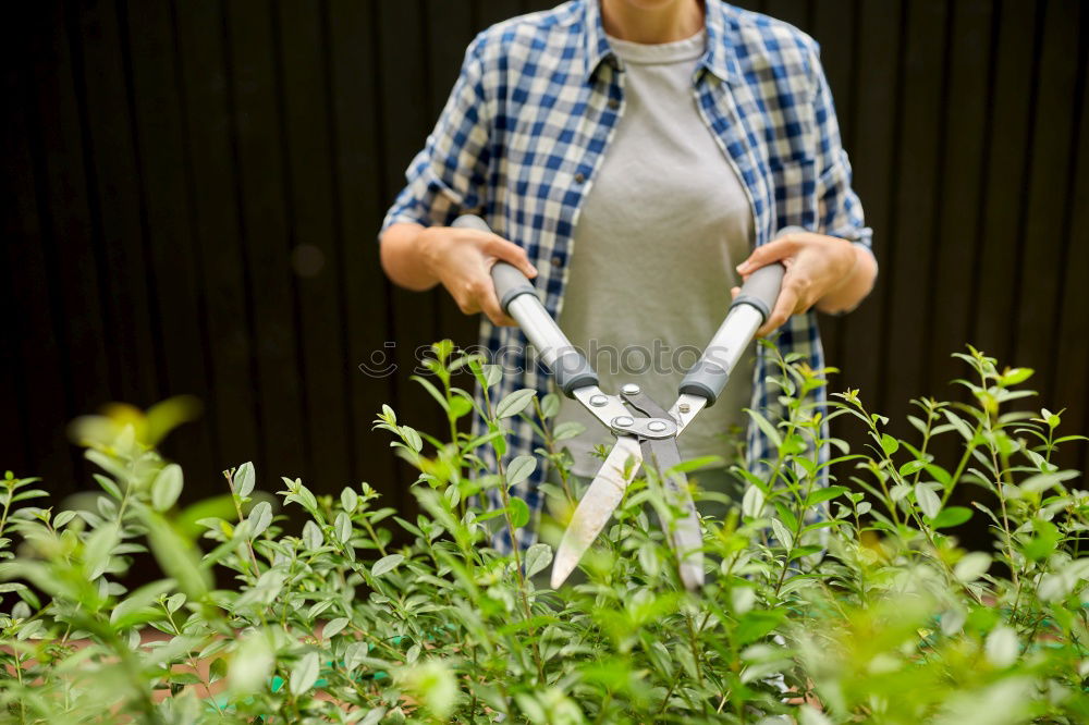 Similar – Kitchen herbs, balcony, person