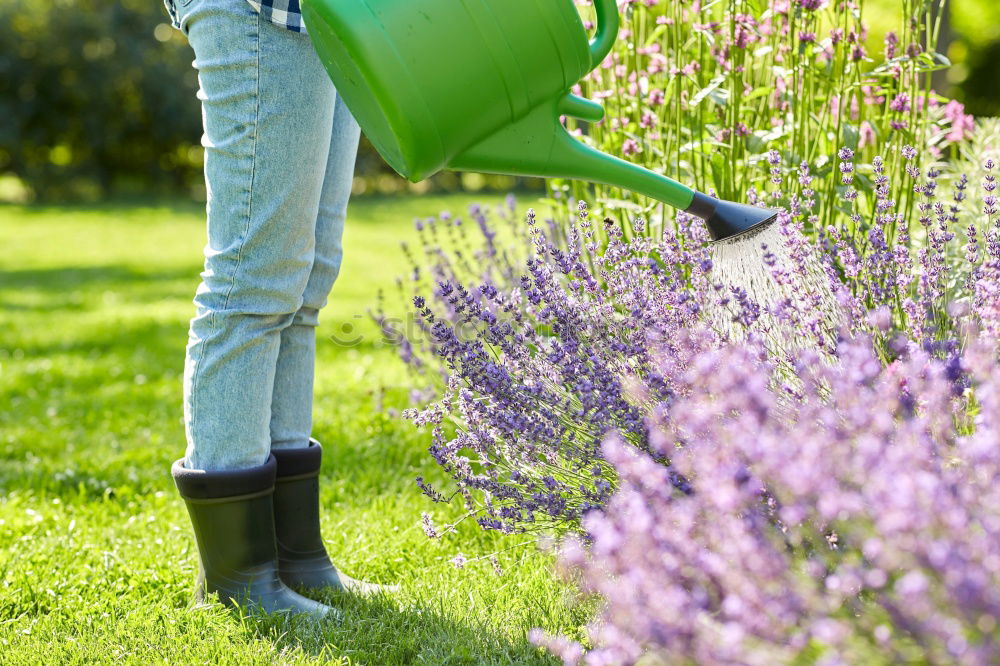 Similar – Image, Stock Photo Children play mini golf in the garden