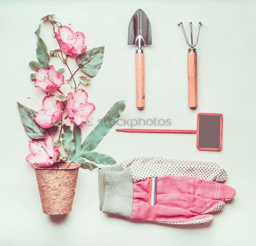 Garden hand tools, watering can and flowers