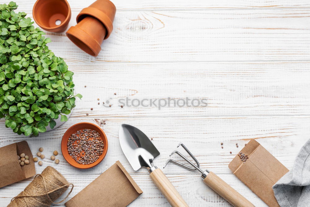 Similar – Hand shovel and garden flowers