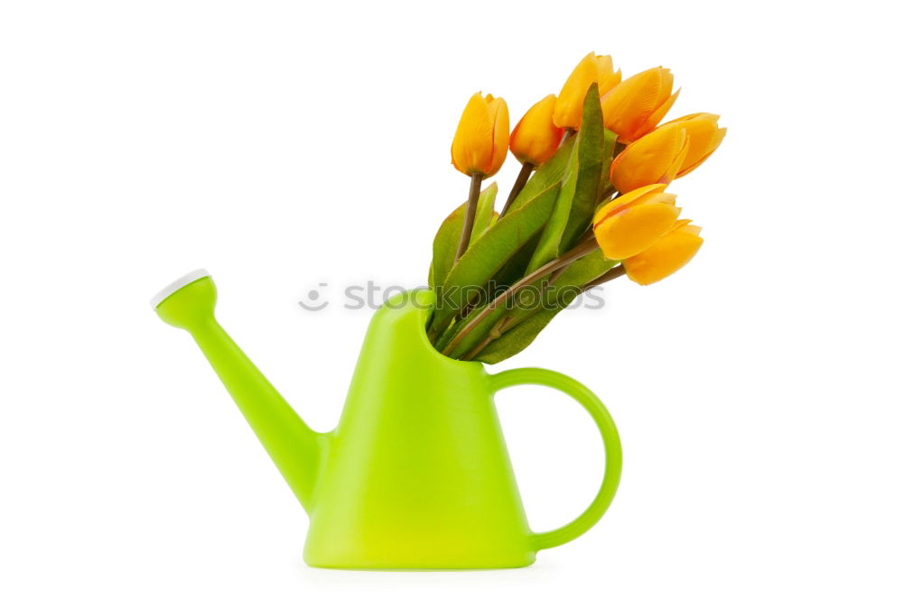 Similar – Image, Stock Photo Spring in the coffee cup