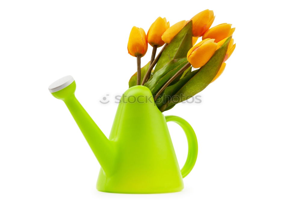 Similar – Image, Stock Photo Spring in the coffee cup