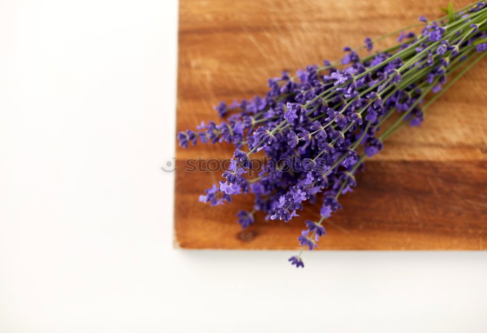 Similar – Pink macaroons and natural flowers on light wooden table