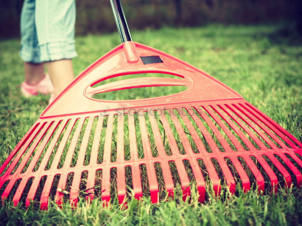 Similar – Image, Stock Photo Children play mini golf in the garden