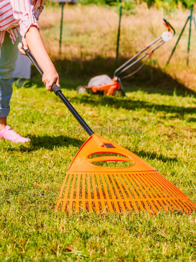 Similar – Image, Stock Photo Children play mini golf in the garden