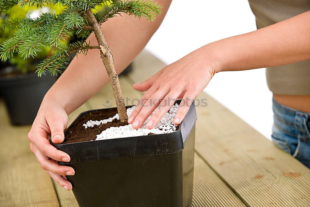 Similar – Image, Stock Photo Get your hands dirty!