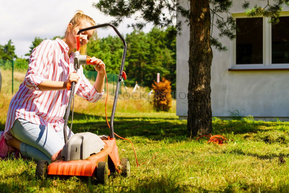 Similar – Foto Bild Hexenflug Sommer Garten