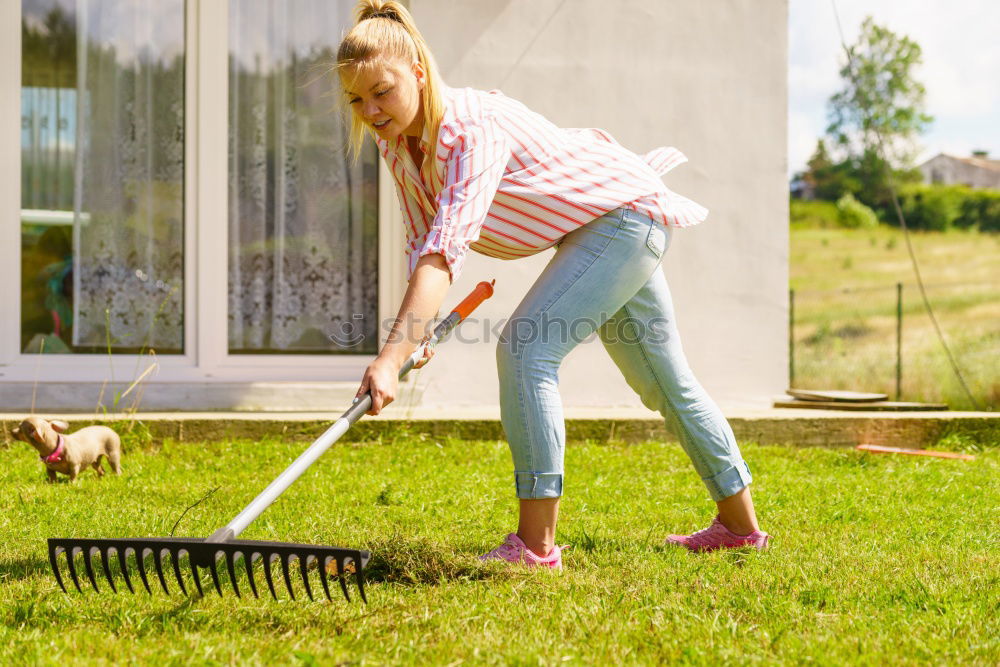 Similar – Foto Bild Hexenflug Sommer Garten