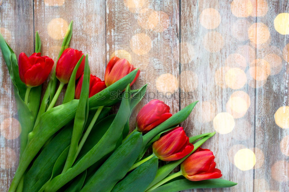 Similar – Image, Stock Photo Tulips Bouquet of flowers