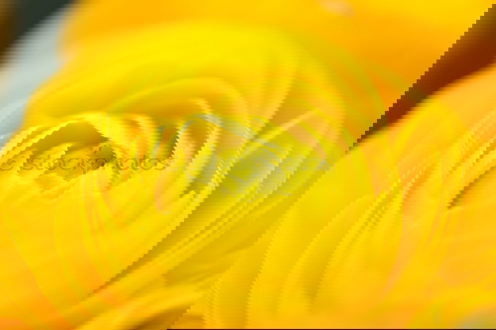 Similar – Image, Stock Photo #AS# Spring 2017 Art