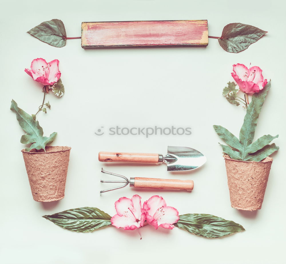 Similar – Garden hand tools and flowerpots