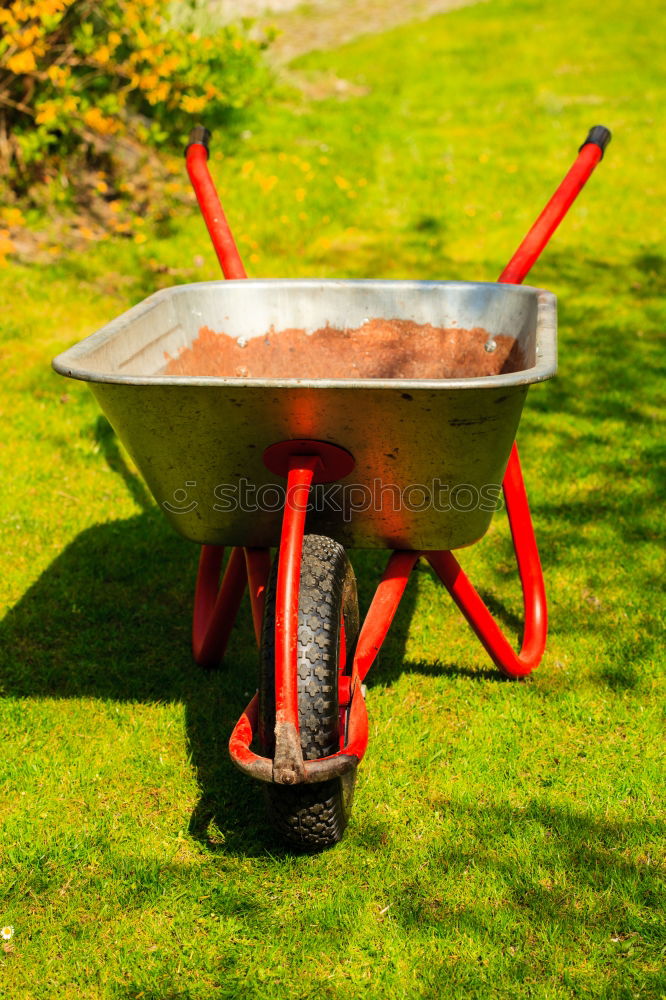 Similar – Image, Stock Photo Wheelbarrow with leaves in autumn