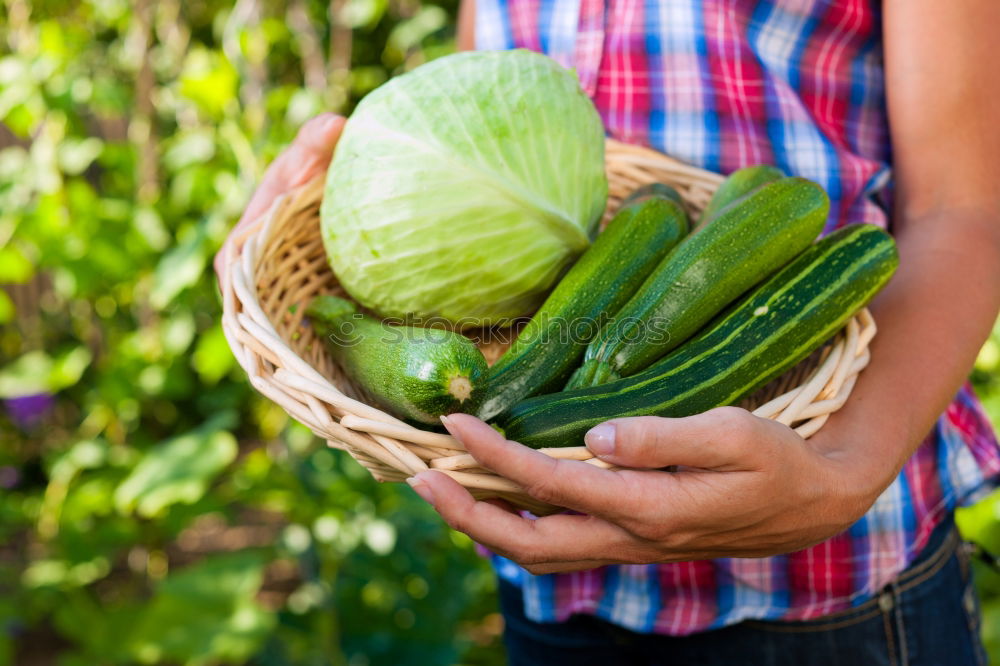 Similar – Image, Stock Photo Fresh pumpkin harvested by hand