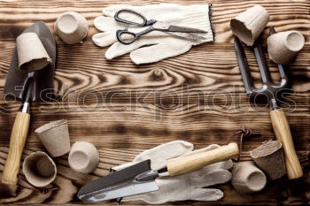 Similar – Sliced fresh carrots on a kitchen board