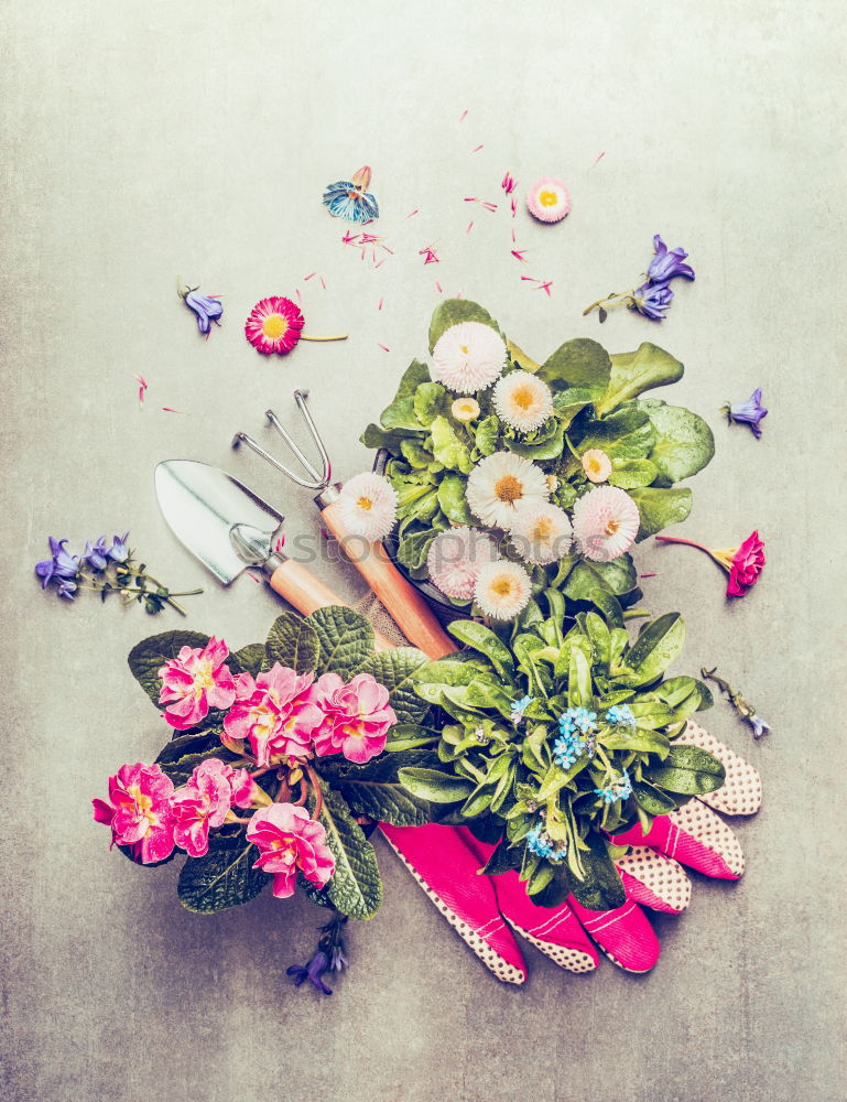 Similar – Image, Stock Photo Garden tools with watering can and flowers