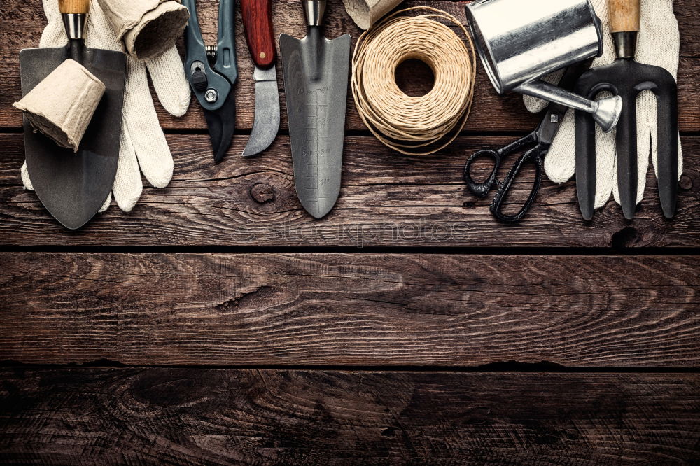 Similar – kitchen brown cutting board with handle and knife