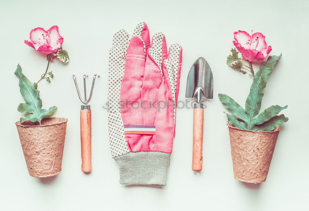 Garden hand tools and flowerpots