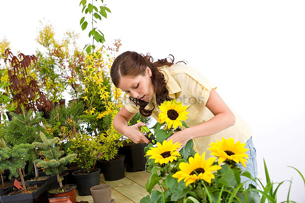 Similar – Kitchen herbs, balcony, person