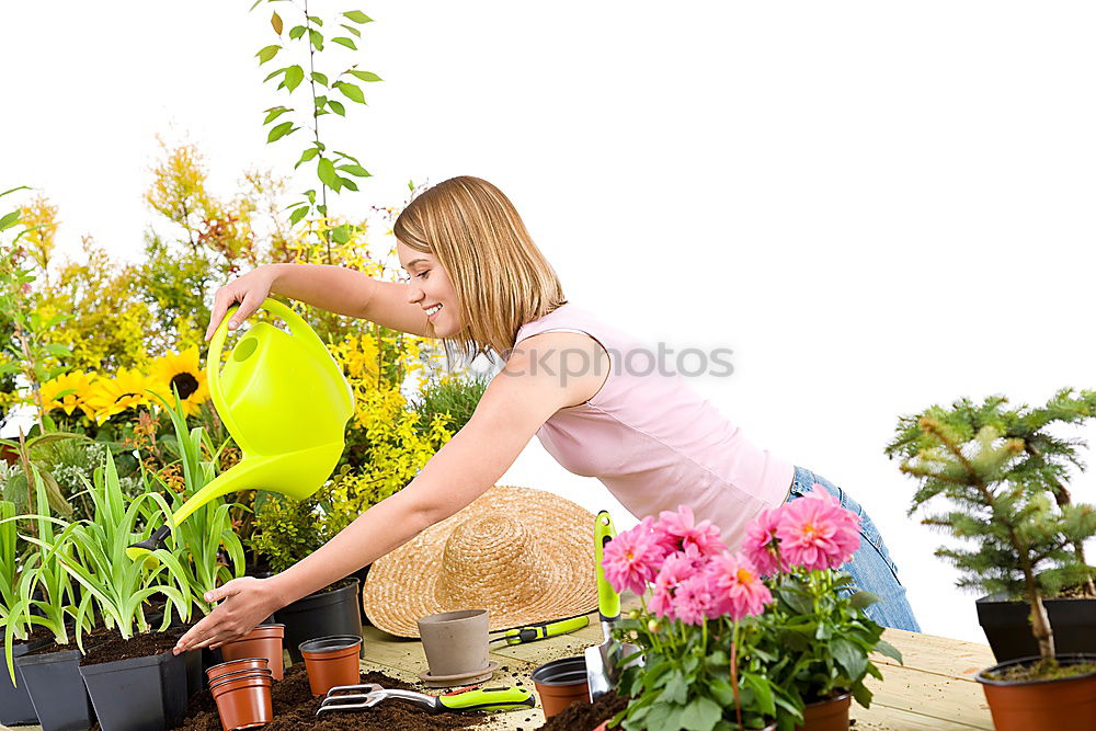 Similar – Image, Stock Photo Woman’s hands transplanting plant.