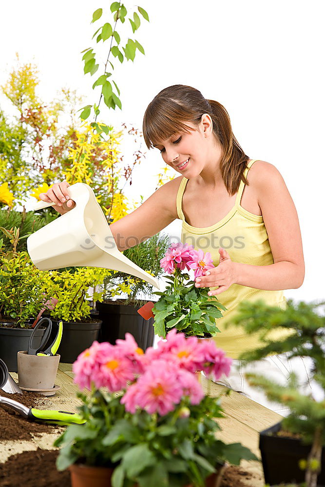 Similar – Image, Stock Photo Woman’s hands transplanting plant.