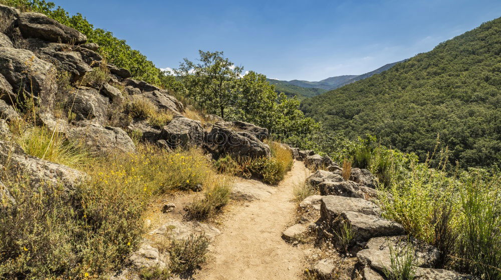 Similar – Image, Stock Photo Mediterranean Hiking Trail