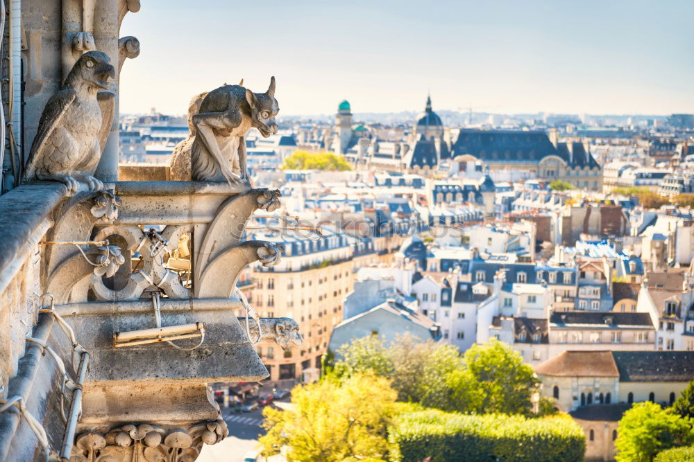 Image, Stock Photo Gargoyle statue on Notre Dame de Paris