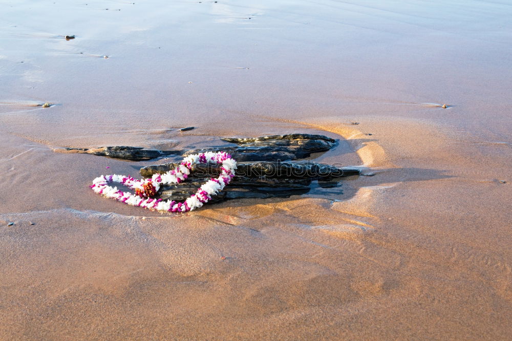 Similar – Image, Stock Photo flotsam and jetsam