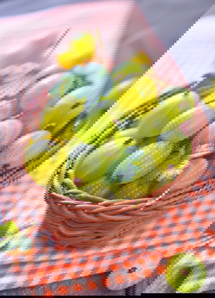 Similar – Image, Stock Photo Preparing ingredients for pickling cucumbers