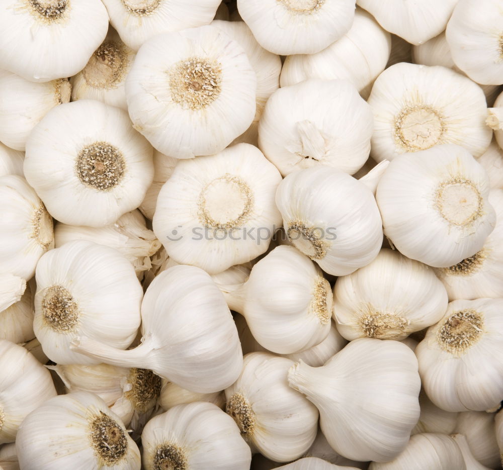 Similar – Image, Stock Photo Champignon Mushrooms on an old wooden table