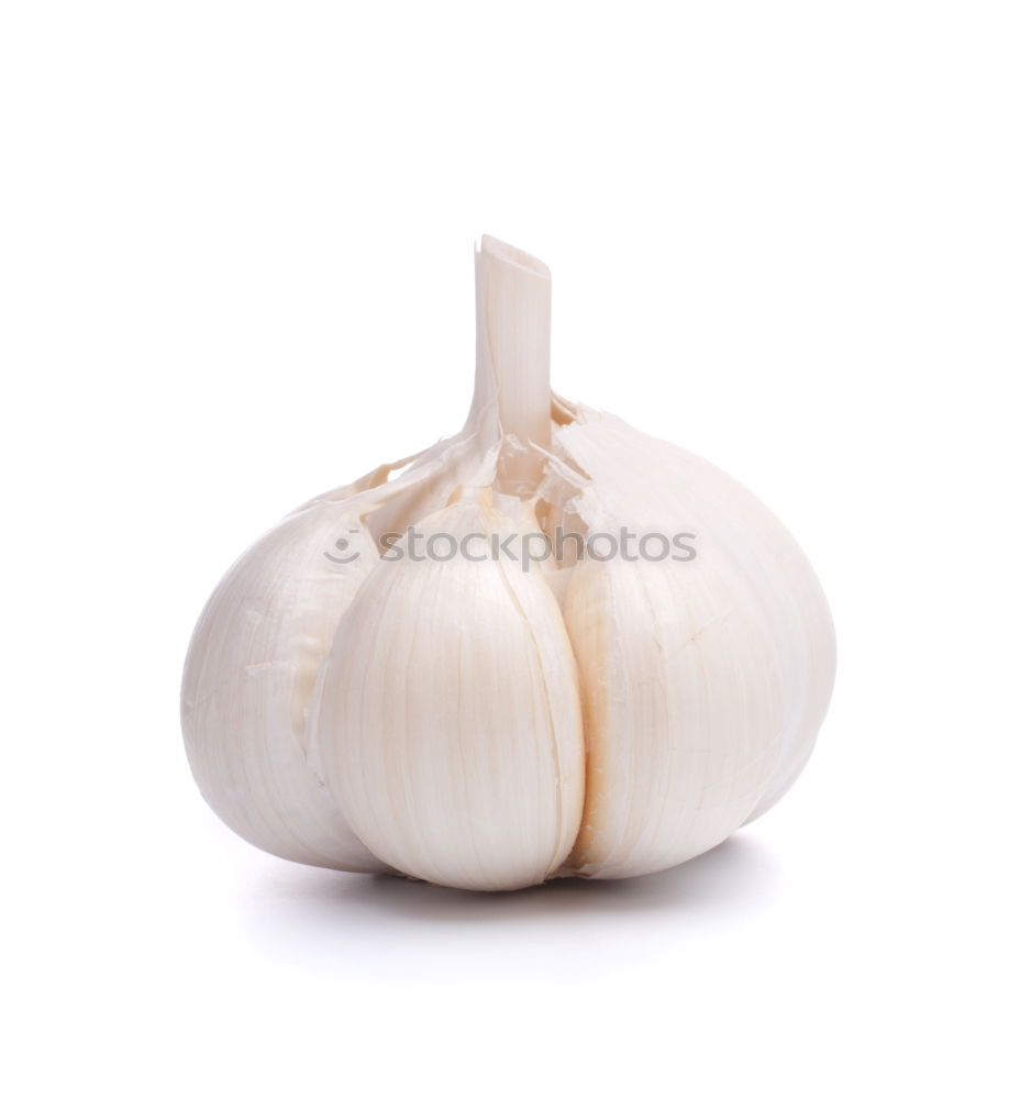 Similar – Allium sativum Food Garlic