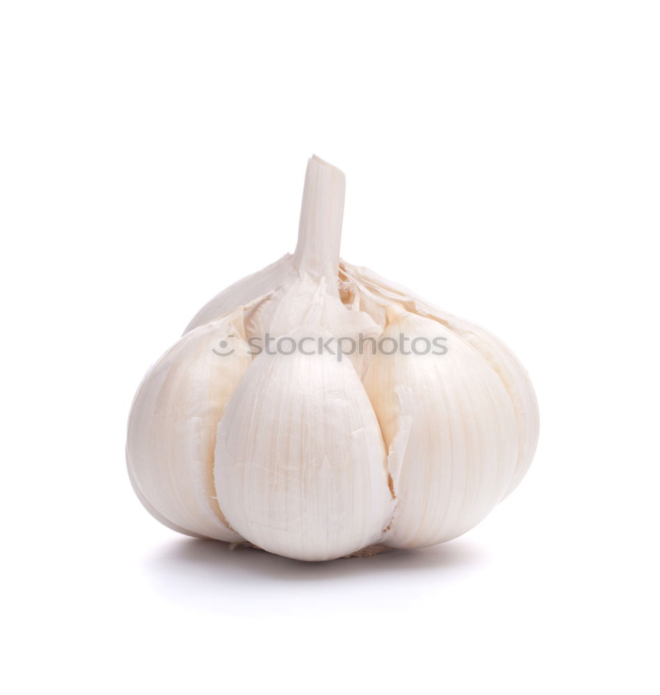 Similar – Allium sativum Food Garlic