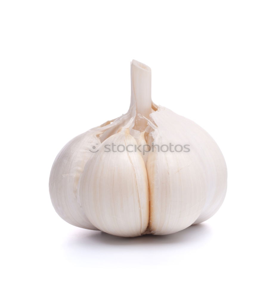 Similar – Allium sativum Food Garlic