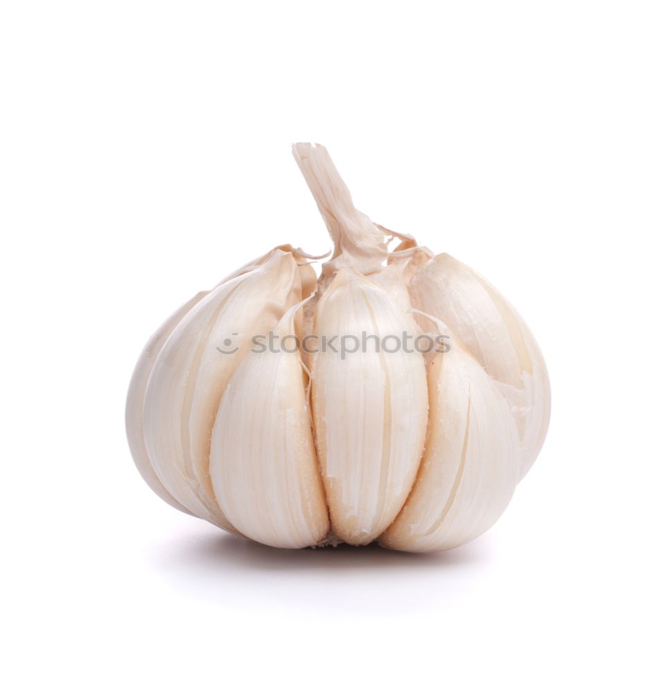 Similar – Allium sativum Food Garlic