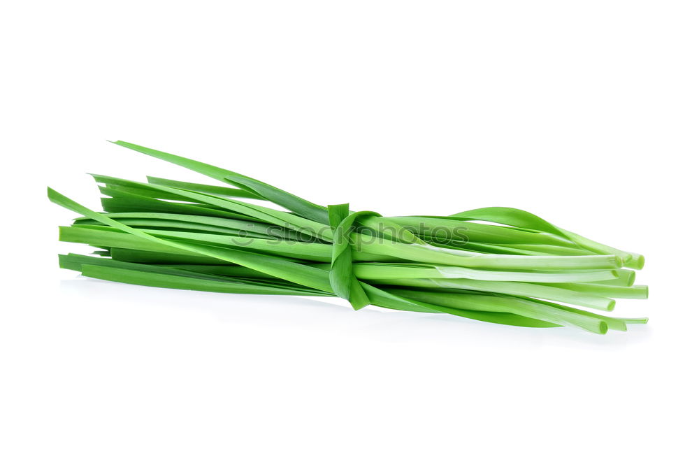 Similar – Image, Stock Photo bunch spring onions Food