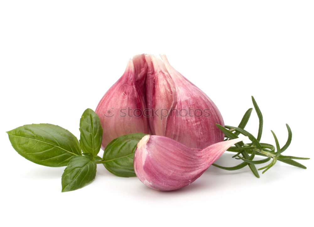 Similar – Pink Tulips On Turquoise Wood Table