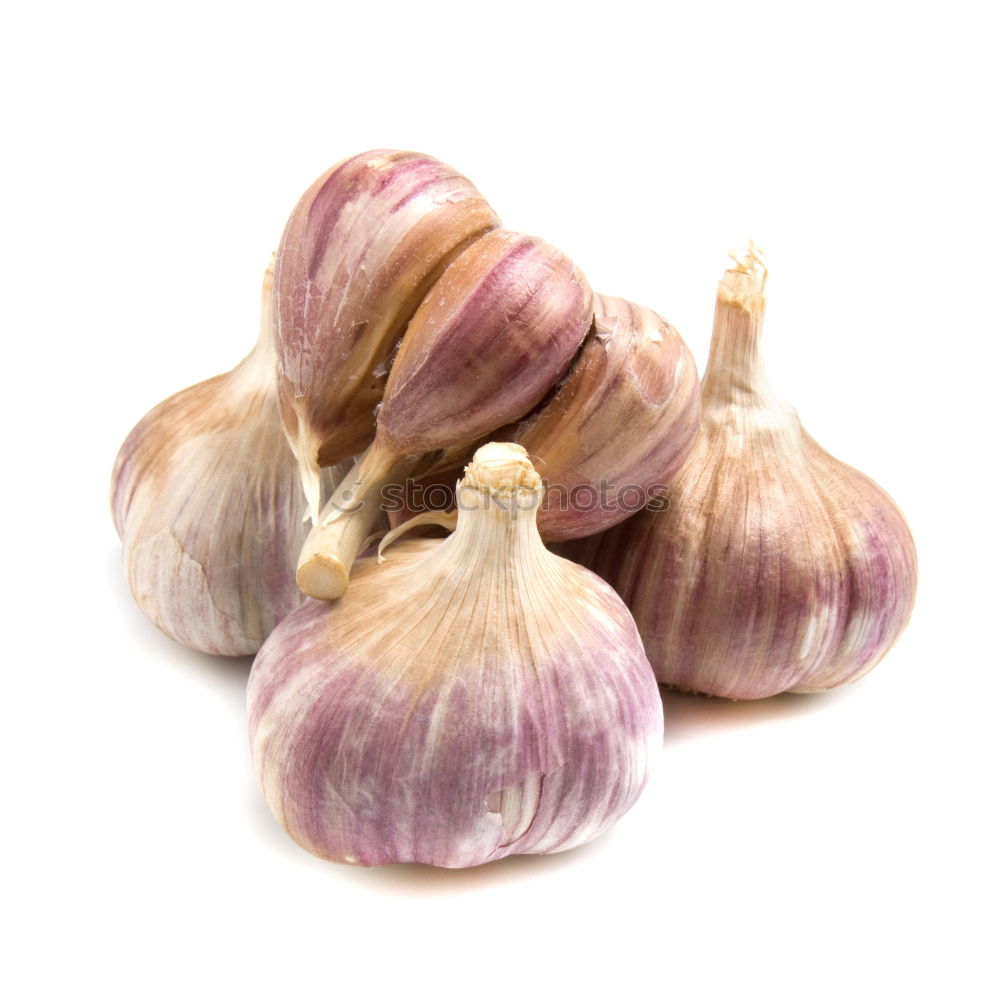 Similar – garlic Food