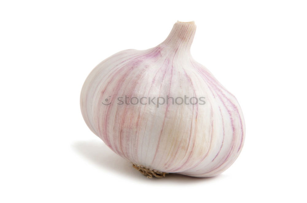 Similar – garlic Food