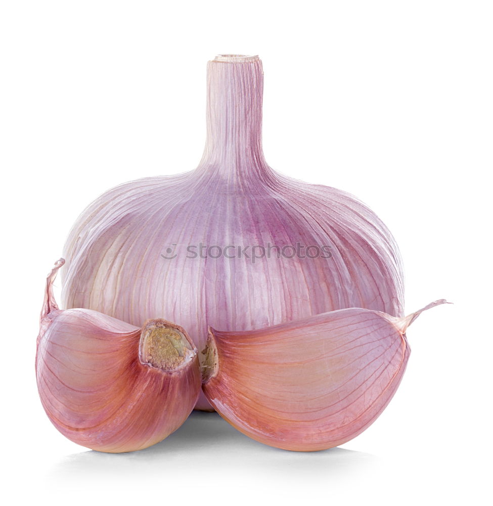 Similar – Allium sativum Food Garlic