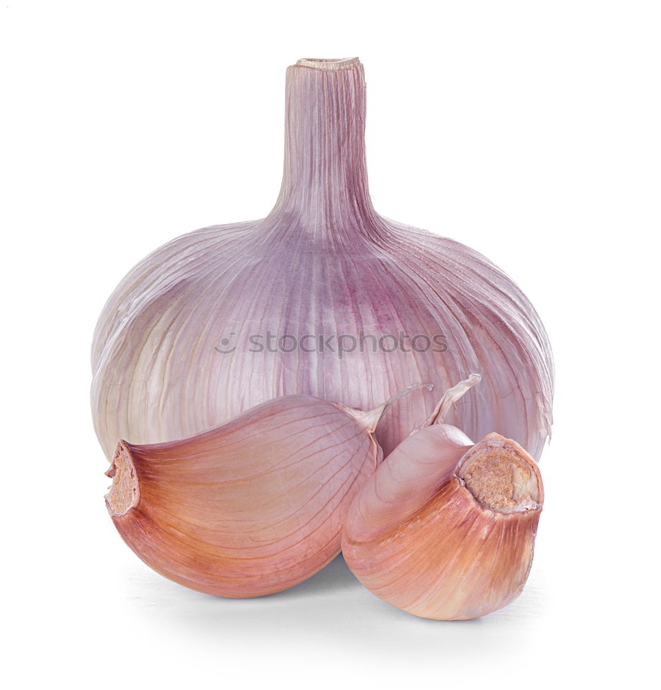 Allium sativum Food Garlic